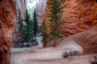 Bryce Canyon