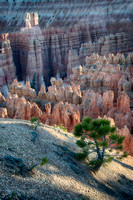 Bryce Canyon